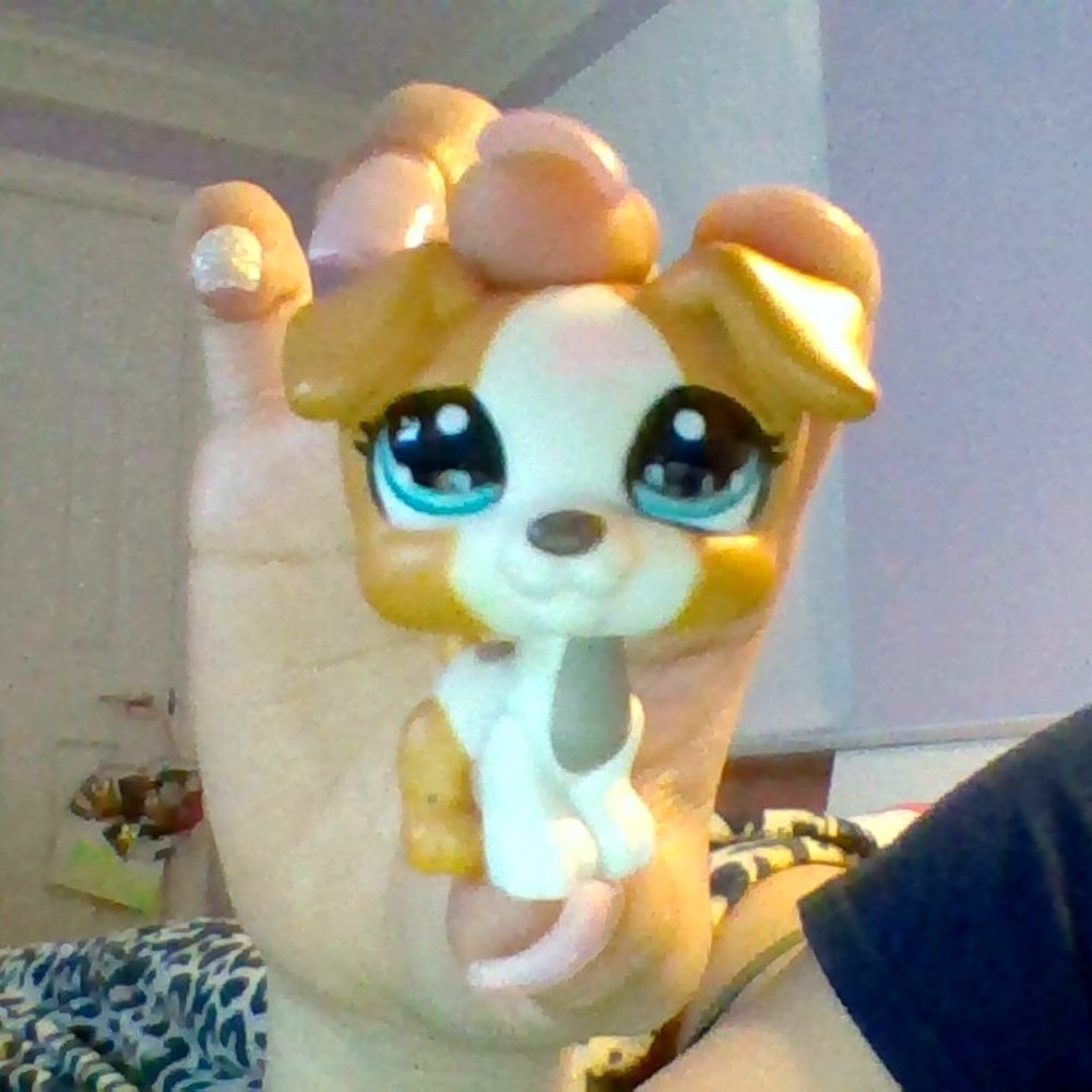 Littlest Pet Shop Hasbro LPS Jack Russell # 1093 Collectors Set